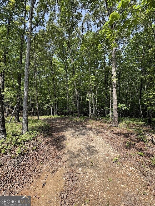 Property Photo:  0 Roy Dean Road  GA 30113 