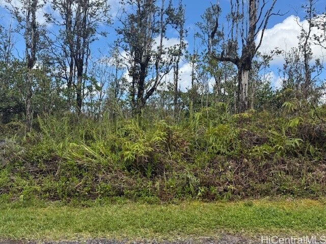 Property Photo:  16-2039 Pukalani Drive  HI 96778 