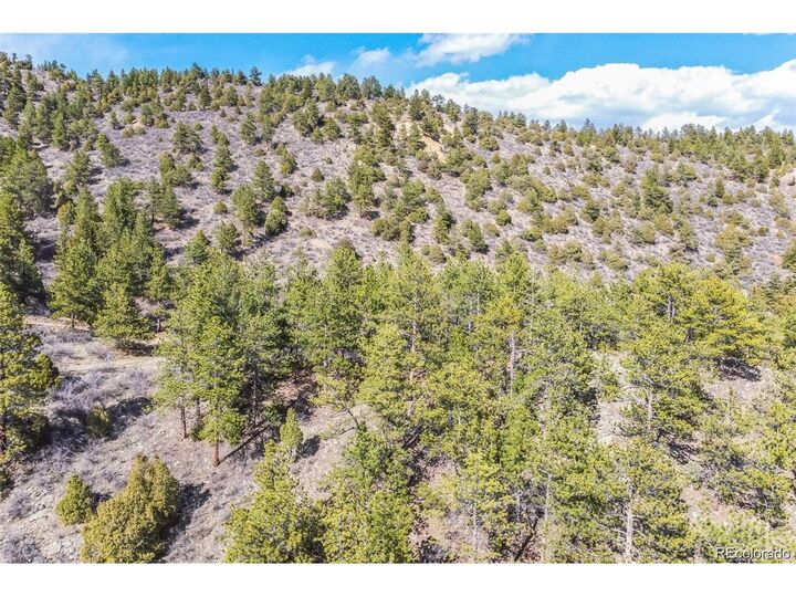 Property Photo: Wild Wagoner Tr CO 80452