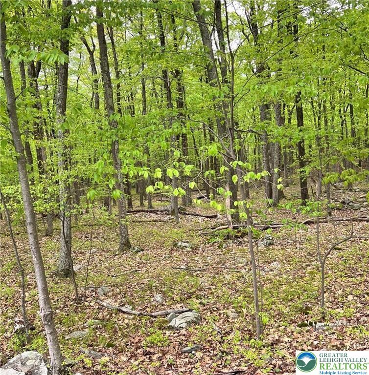 Property Photo:  209 Cherry Lane  PA 18210 