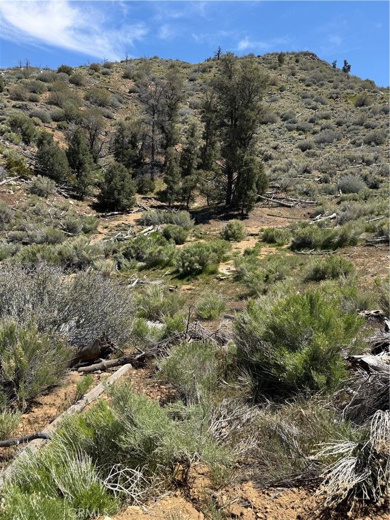 Property Photo:  0 310-040-017 Pine Creek Valley Road  CA 93527 