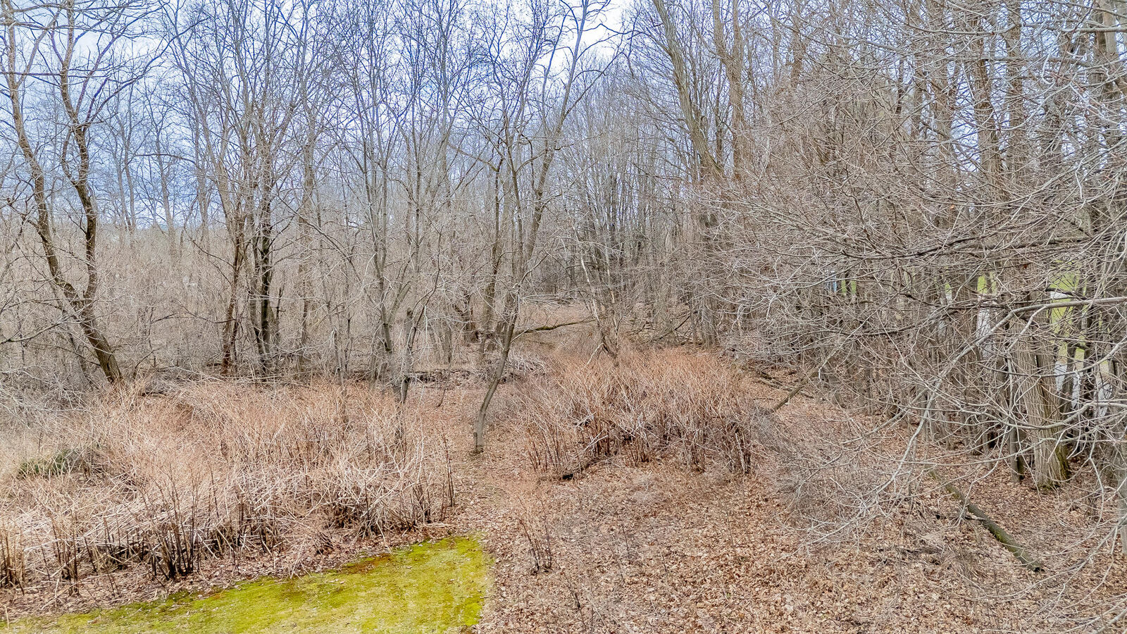 Property Photo:  Lot 122 Rooney Street  ME 04412 