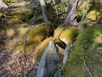 Property Photo:  9 Rockledge Road  ME 04858 
