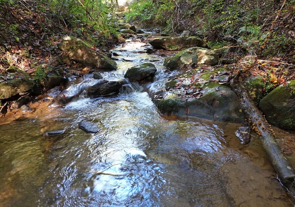 Property Photo:  373 Scrougetown Road  GA 30536 