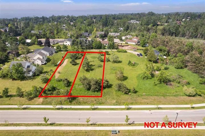 Property Photo:  Atkins Rd. Parcel Bb  MI 49770 