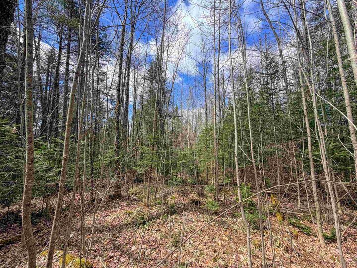 Property Photo:  Lot 4 Oregon Road  VT 05824 