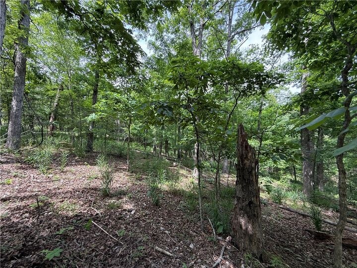 Property Photo:  Tbd Cr 206  AR 72632 