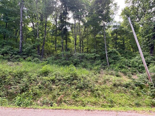 Property Photo: 6 Wildcat Drive AR 72631