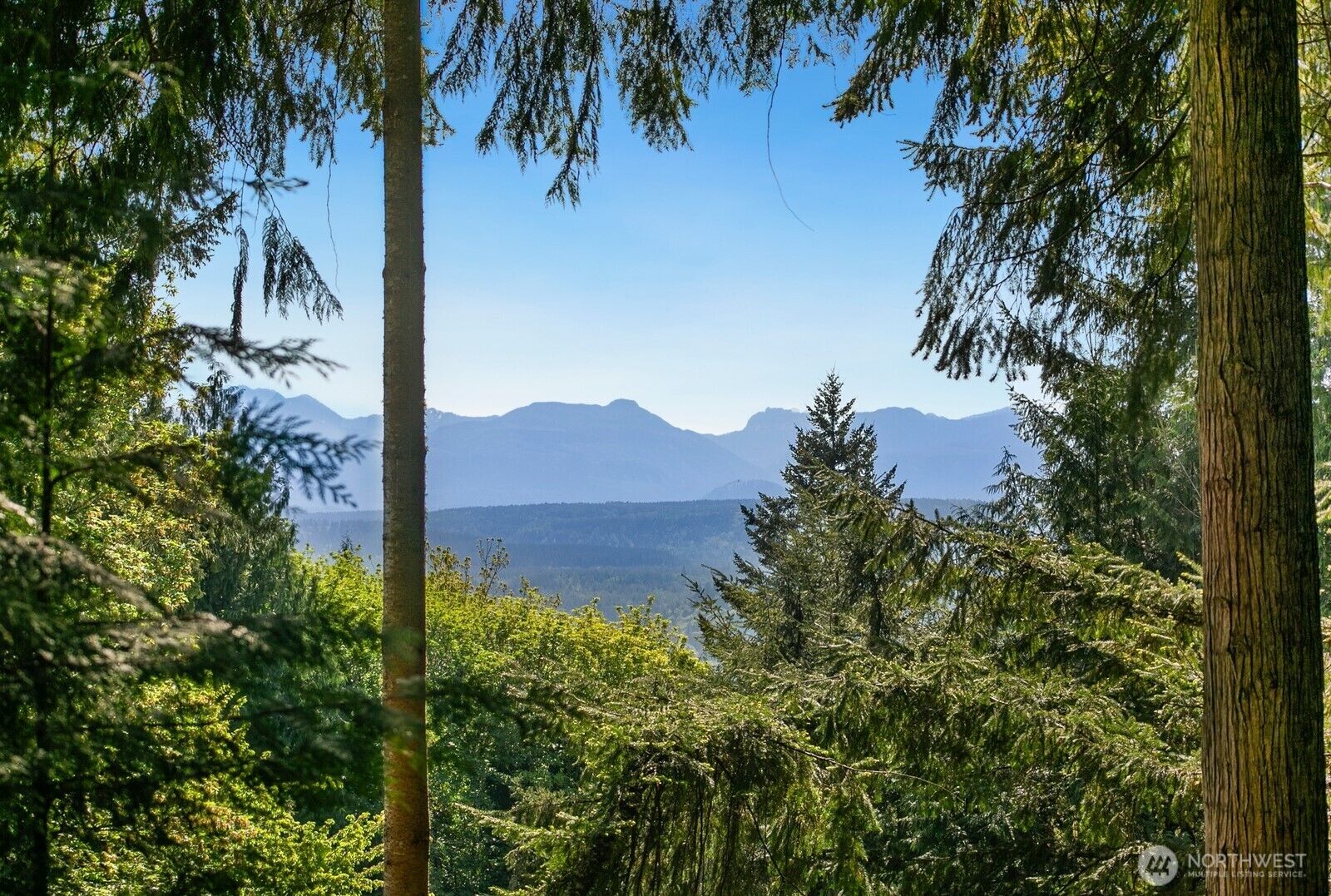 Property Photo:  1445  293rd Avenue NE  WA 98014 