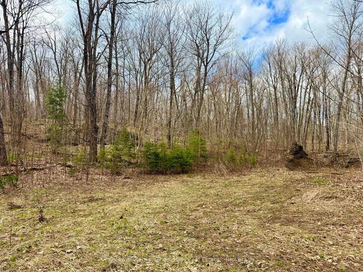 Property Photo:  0-A Maple Drive S  ON P0H 1S0 