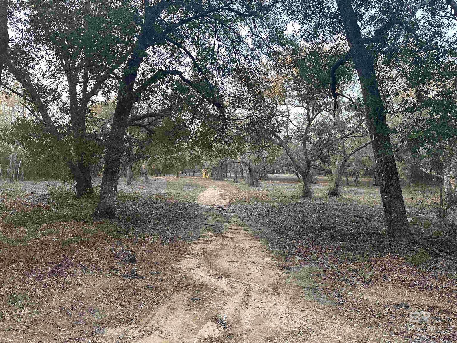 Property Photo: 00 County Road 99 AL 36549
