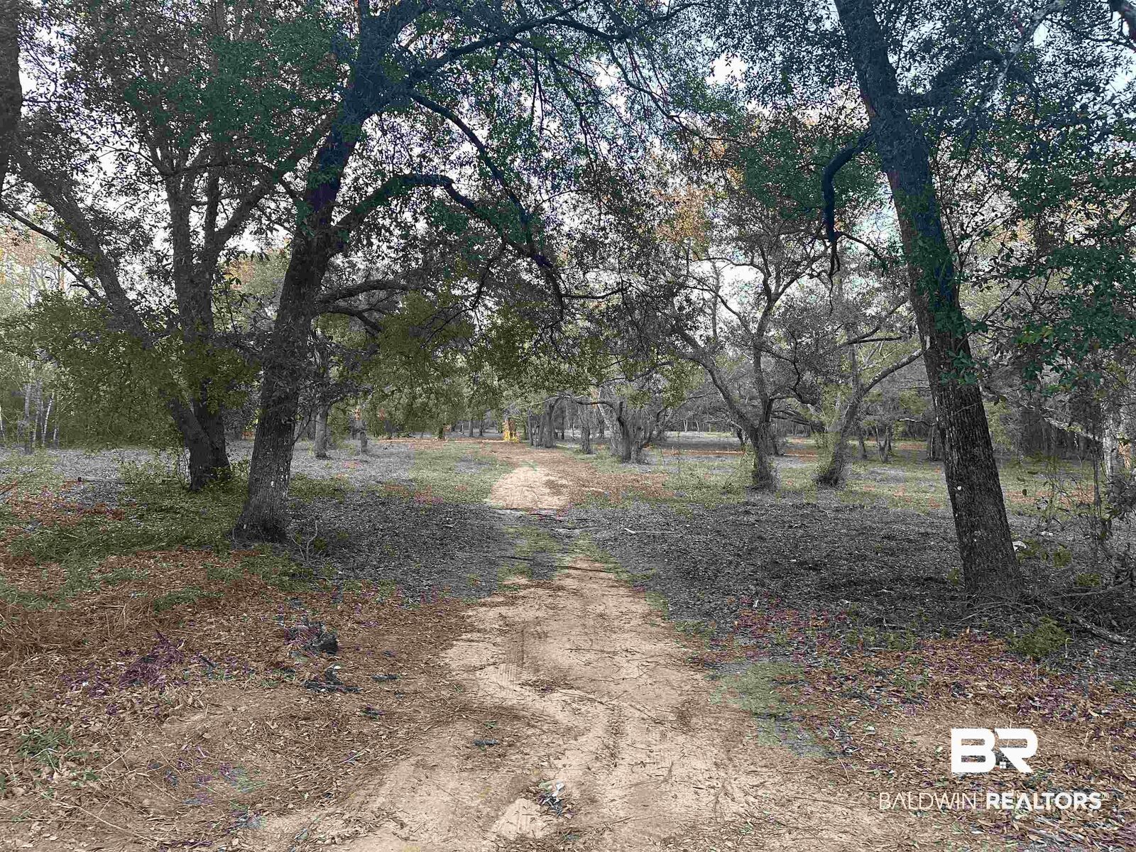 Property Photo:  00 County Road 99  AL 36549 