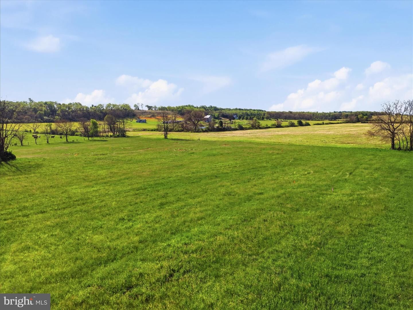 Property Photo:  Tbd Golds Hill Road  VA 22603 