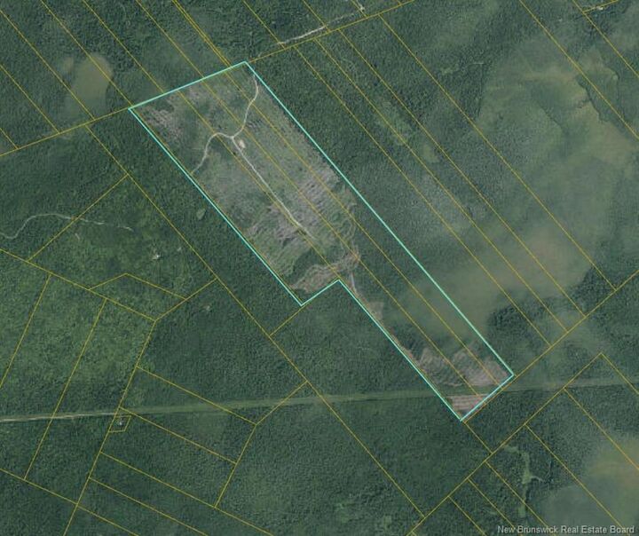 - South Napan - 4 Interior Woodlot Parcels — photo 1