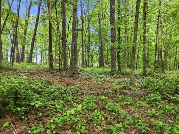 Property Photo:  10987 Freehome Highway  GA 30115 