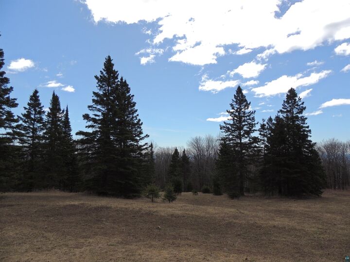 Property Photo:  Xxx Springdale Rd  MN 55615 