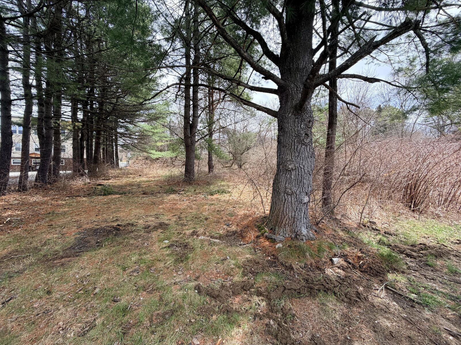 Property Photo:  153 Cottage Street  ME 04240 