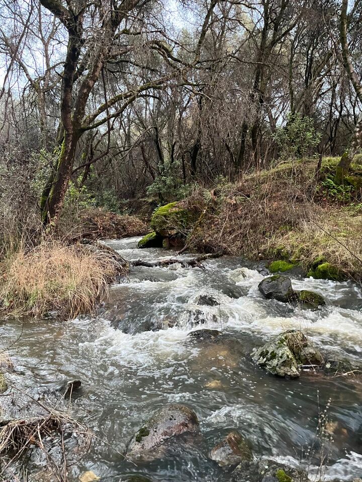 Property Photo:  20229 Troost Trail  CA 95960 