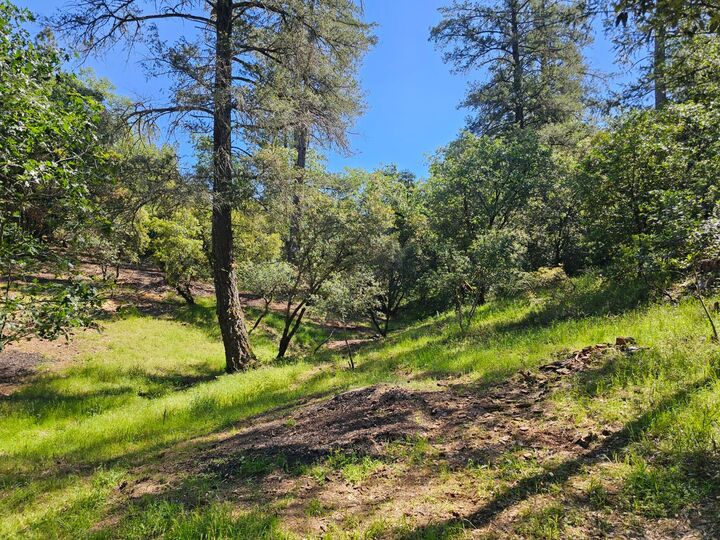 Property Photo: 19730 Wedemeyer Place CA 95713