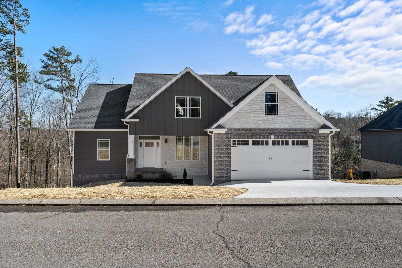 Property Photo:  197 Orrie Moss Court SE  TN 37323 