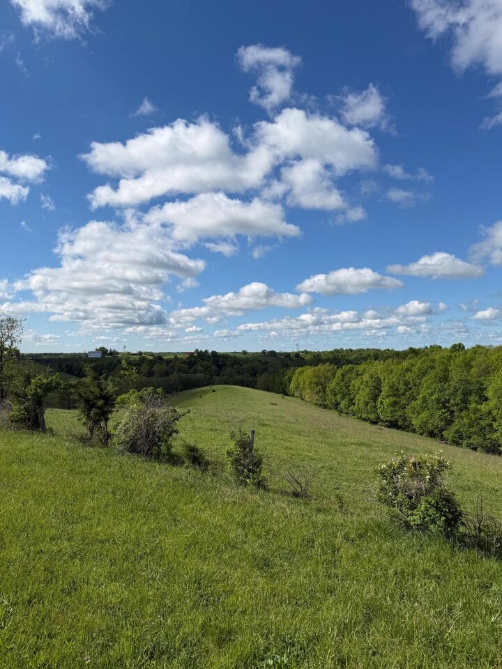 Property Photo:  14.17 Ac Chipman Ridge Road  KY 41097 