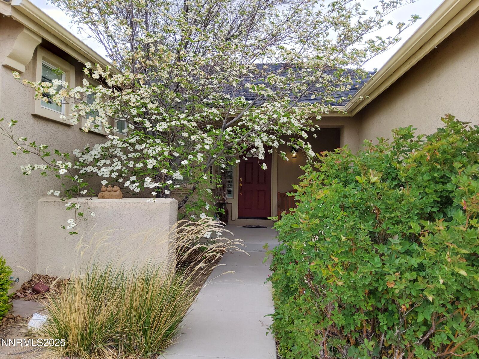 Property Photo:  1171 Dortmunder Drive  NV 89441 