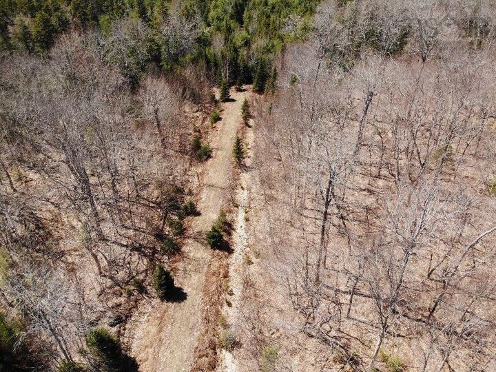 Property Photo:  Lot R-10 Kill Dog Cove Road  NS B0R 1A0 