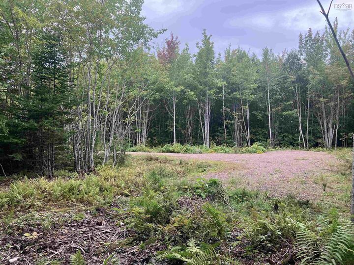 Lot 2020-5 Highway 223 — photo 1