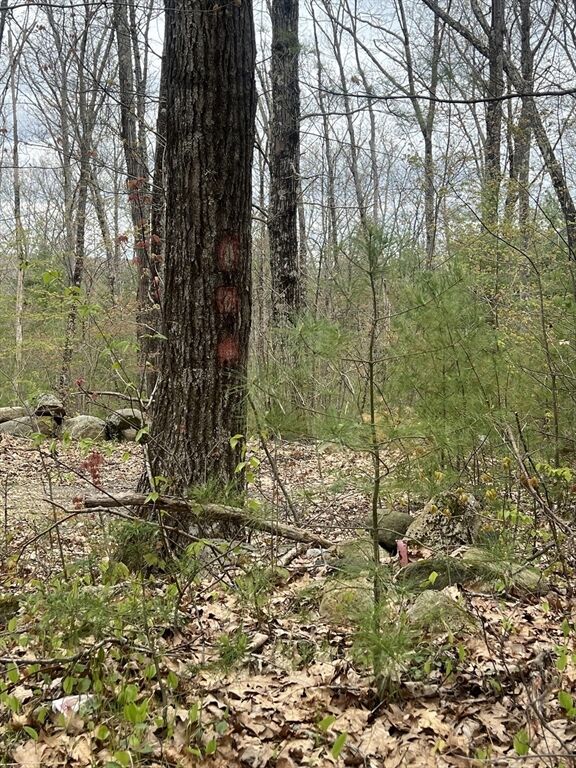 Property Photo:  0 Miner Rd  MA 01037 