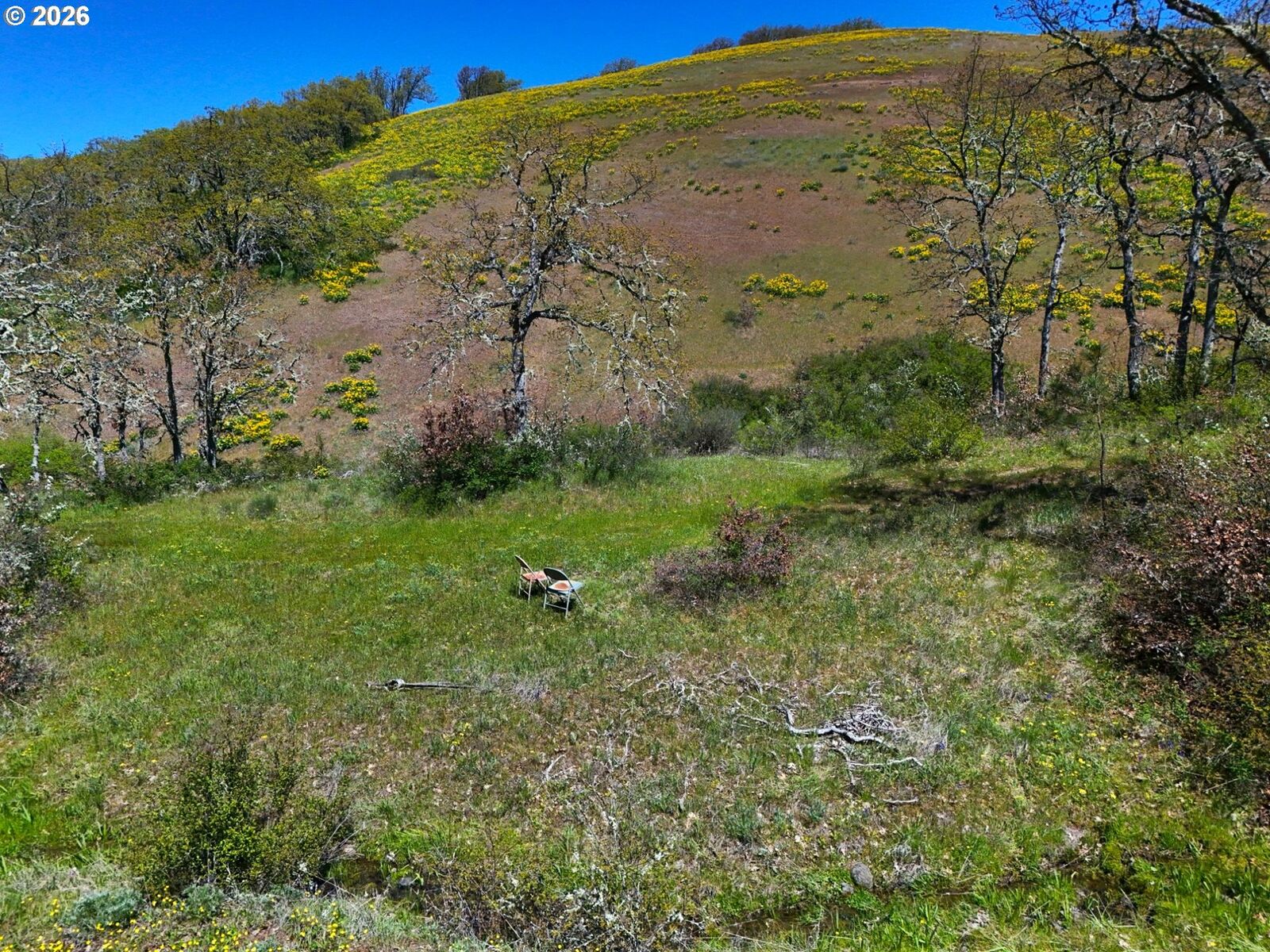 Property Photo:  Kestrel Rd  WA 98635 