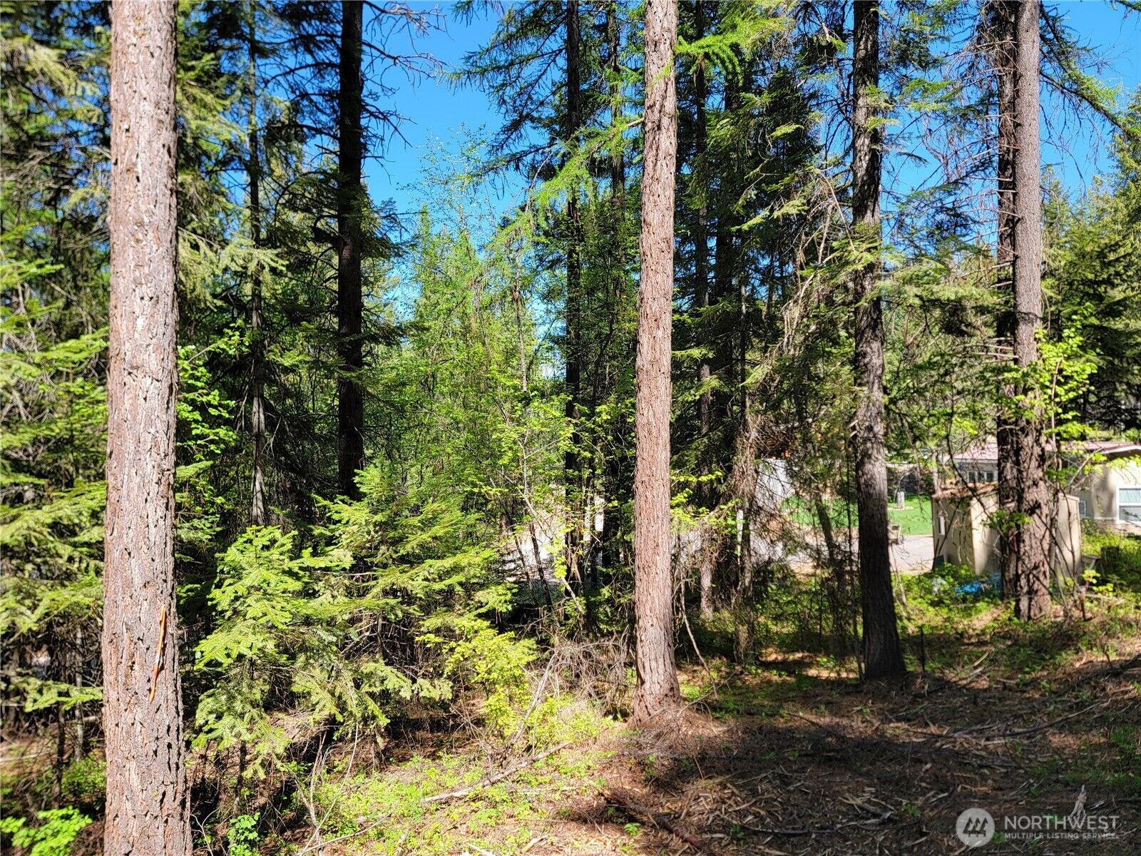 Property Photo:  263  Twin Lakes Road  WA 99138 