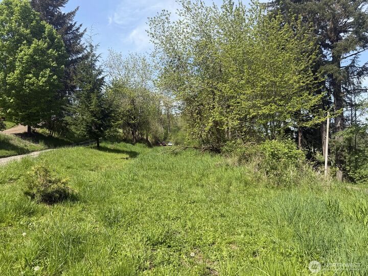 Property Photo:  0  Roswell Road  WA 98531 