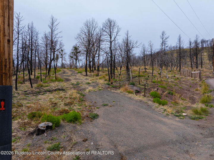 Property Photo:  113 Monty Lane  NM 88345 
