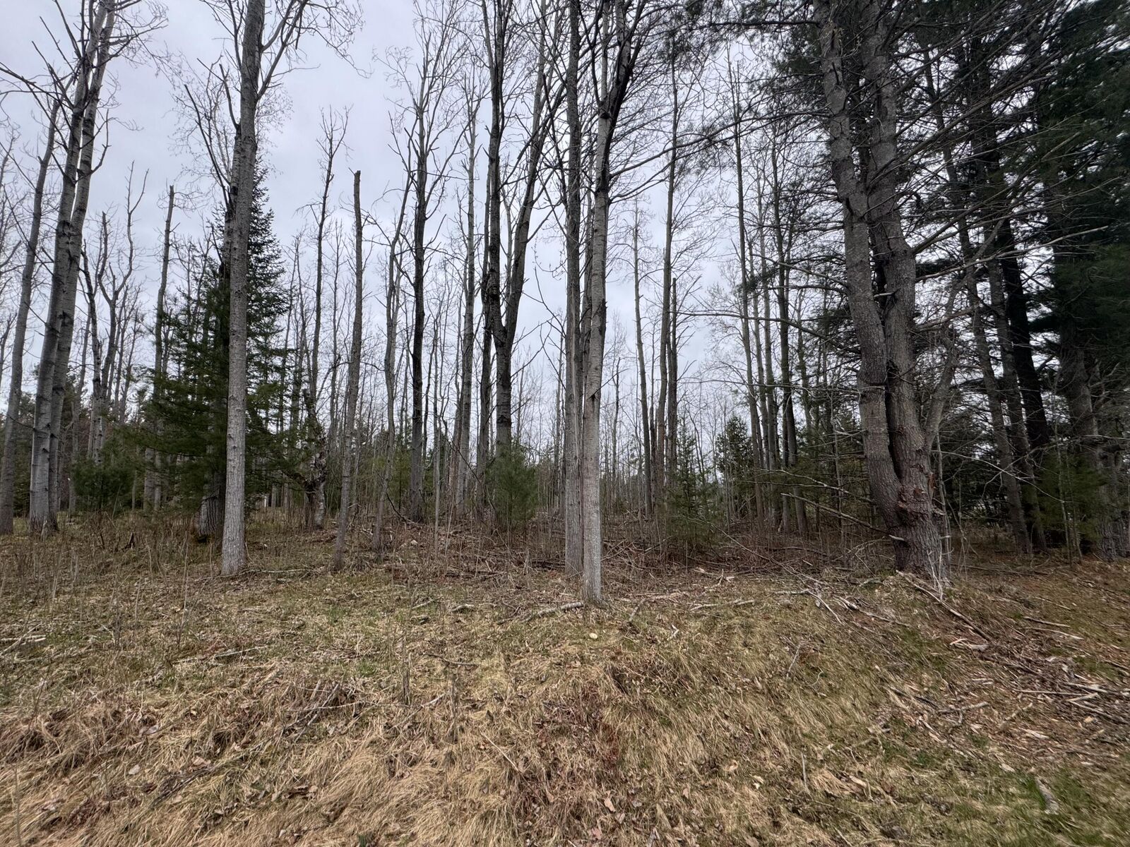 Property Photo:  6809 Needles Road  MI 49749 