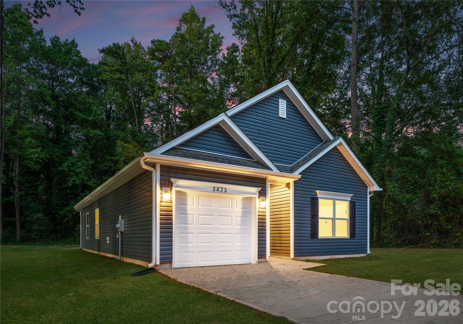 Property Photo: 7007 Frye Place NC 28269