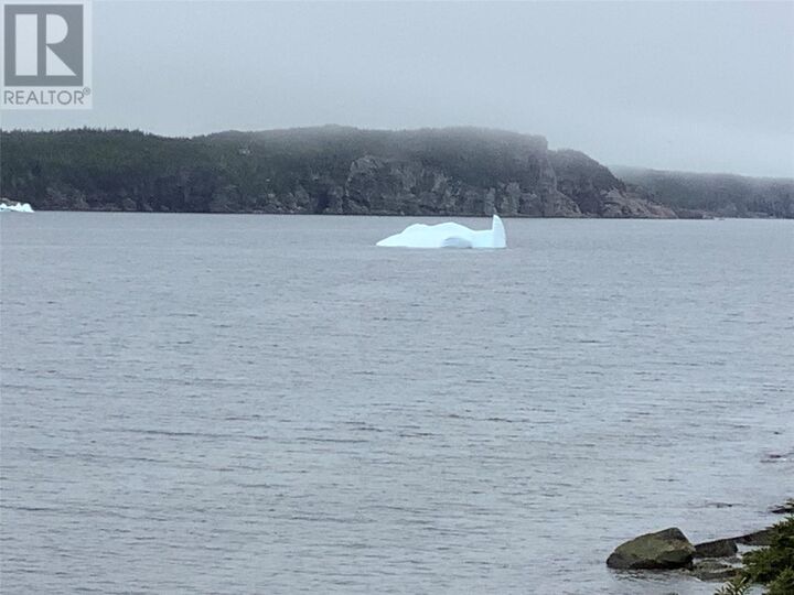 Property Photo:  4 Walsh'S Lane  NL A0C 1T0 