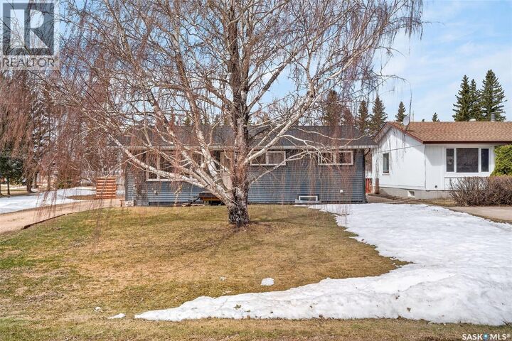 Property Photo:  209 Albert Avenue S  SK S0E 1M0 
