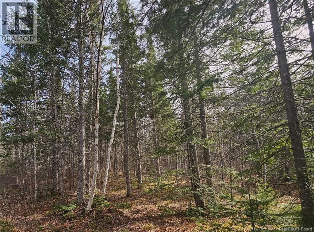 Property Photo:  00 Route 118  NB E9E 2G8 