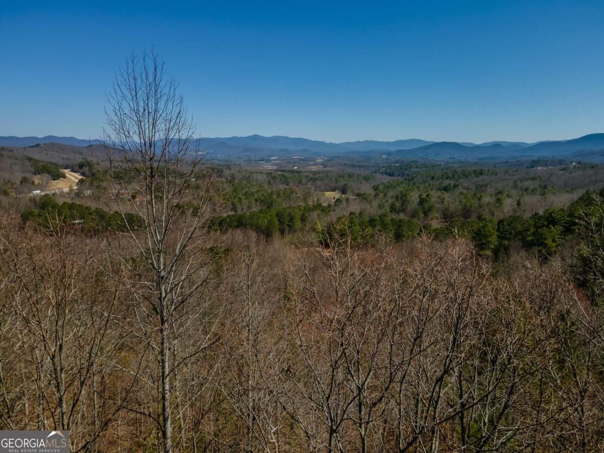 Property Photo:  Lot 39 The Hills At Queens Gap  GA 30512 