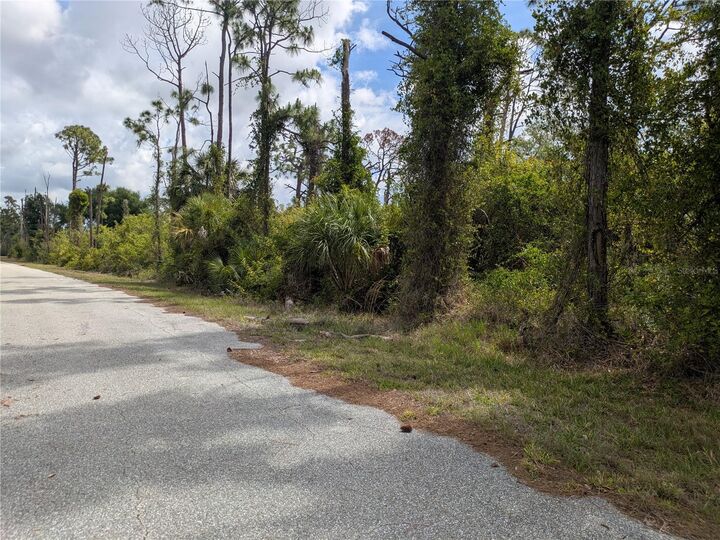 Property Photo:  7396 Widmer Street  FL 33981 