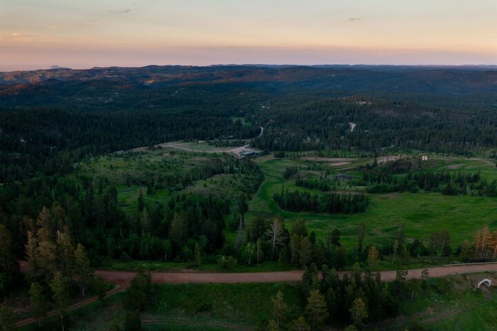 Property Photo:  Lot 65 Deer Mountain Road  SD 57754 