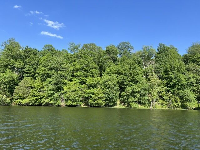 Property Photo:  Lot 147 Parrish Ridge  IL 62939 