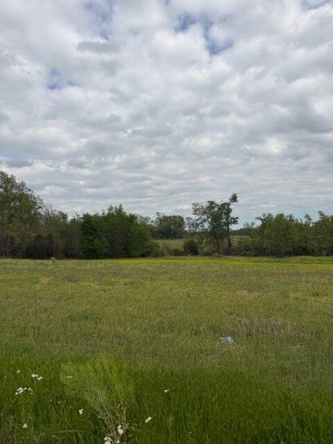 Property Photo:  7770 Akersville Rd  TN 37083 