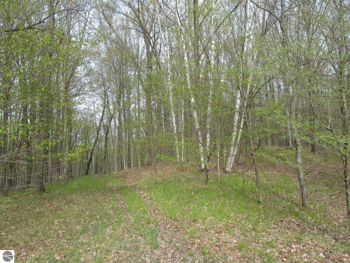 Property Photo:  1858 N Kings Highway  MI 49656 