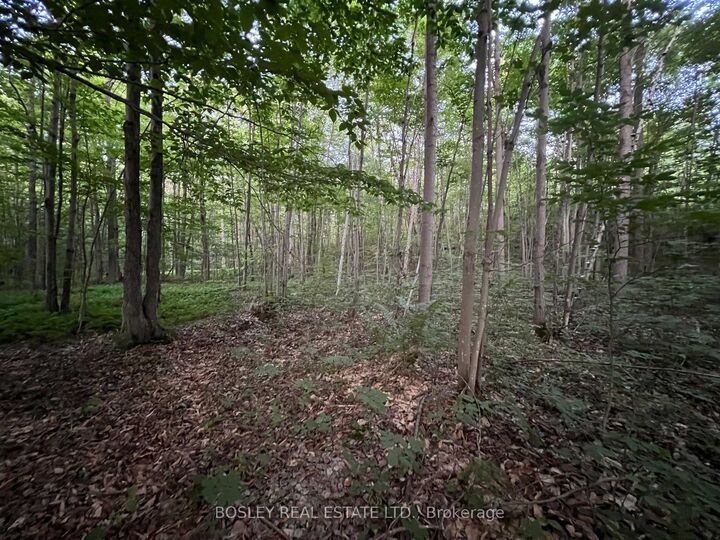 Property Photo: 1874 Highway 11 N/A N ON P0E 1G0