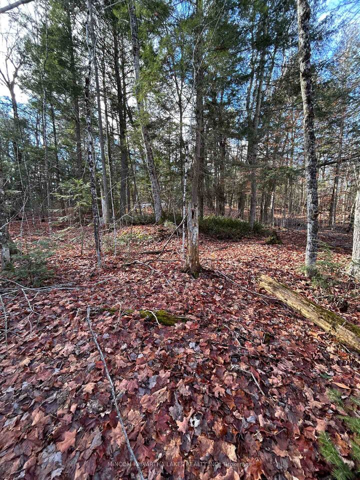 00 Mill Lake Road — photo 1