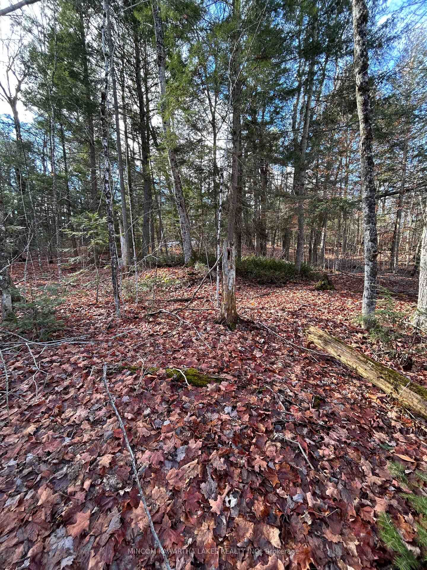 Property Photo:  00 Mill Lake Road  ON K0L 1A0 