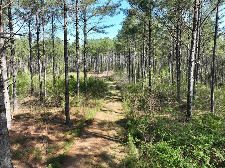 Property Photo:  0 Cohutta Varnell Road  GA 30710 