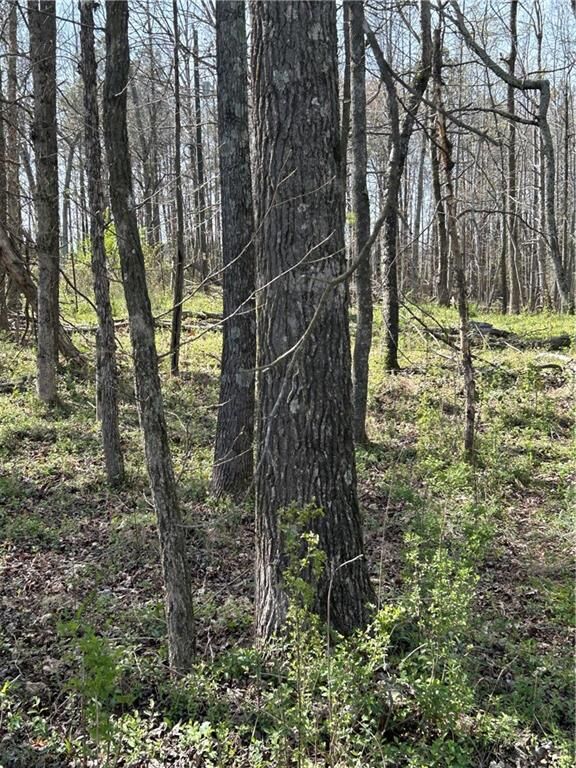 Property Photo: 0 Browning Road GA 30139