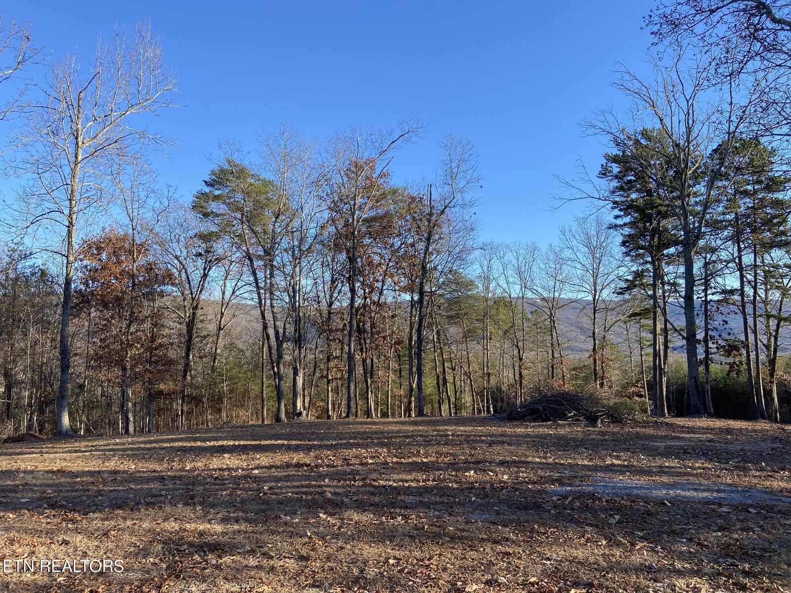 Property Photo:  978 Press Pickett Rd  TN 37397 